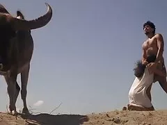 તમારા માટે આશ્ચર્ય હોટ સેક્સી ટ્યુબ