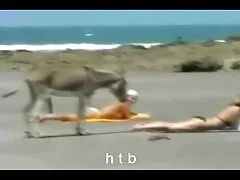 કેમ્પ કૂચી એચડી નગ્ન